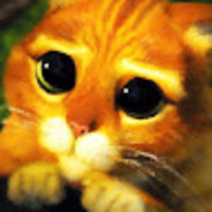 Meet your Posher, Tomatomorghulis